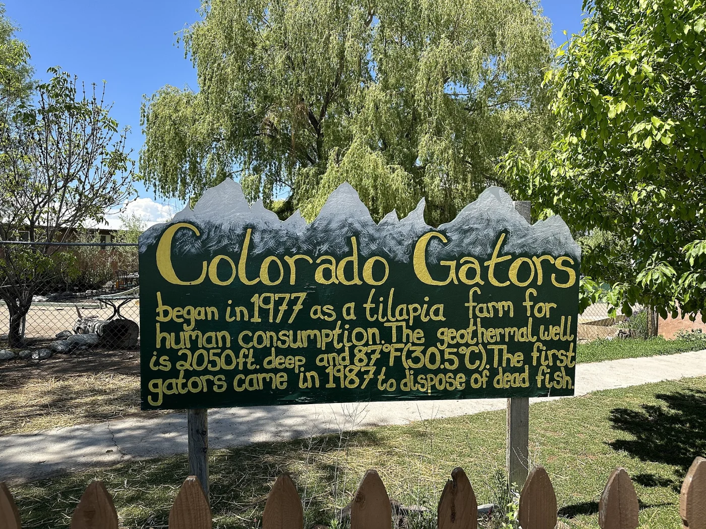 Colorado Gators Reptile Park