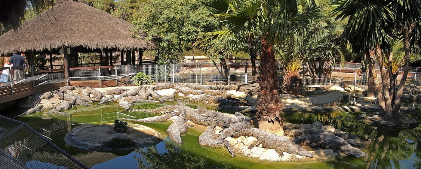 Crocodile Park, Torremolinos