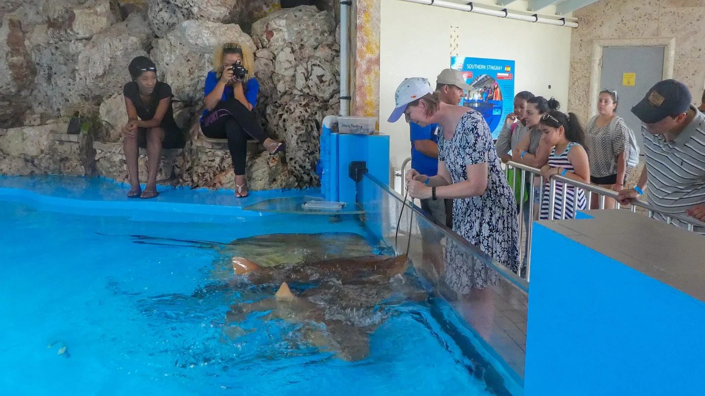 Curaçao Sea Aquarium