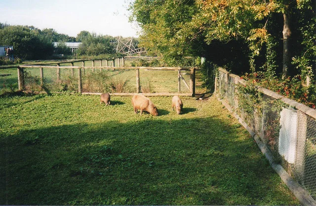 Curraghs Wildlife Park