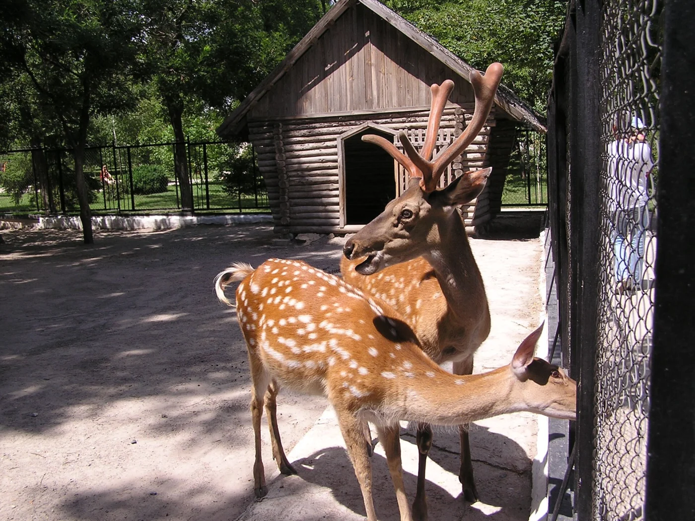Dokuchaievsk Zoo