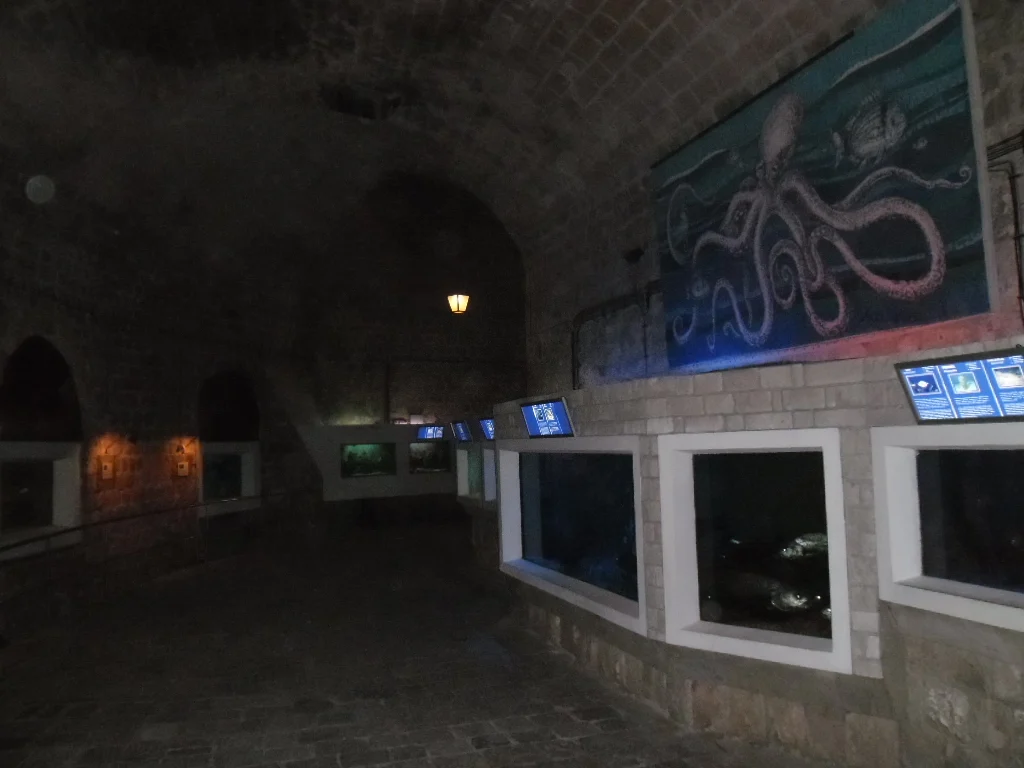 Dubrovnik Aquarium