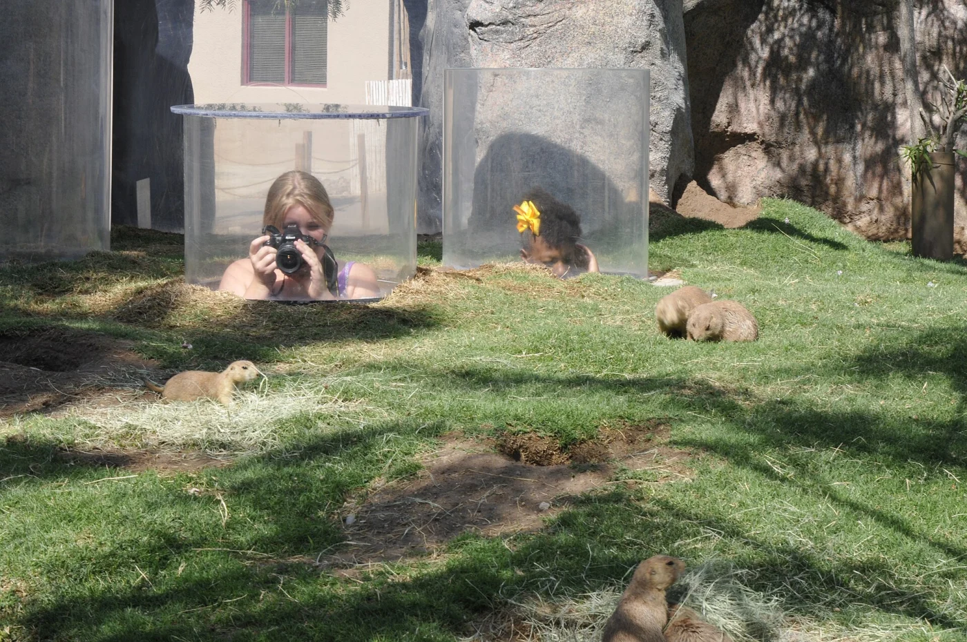 El Paso Zoo