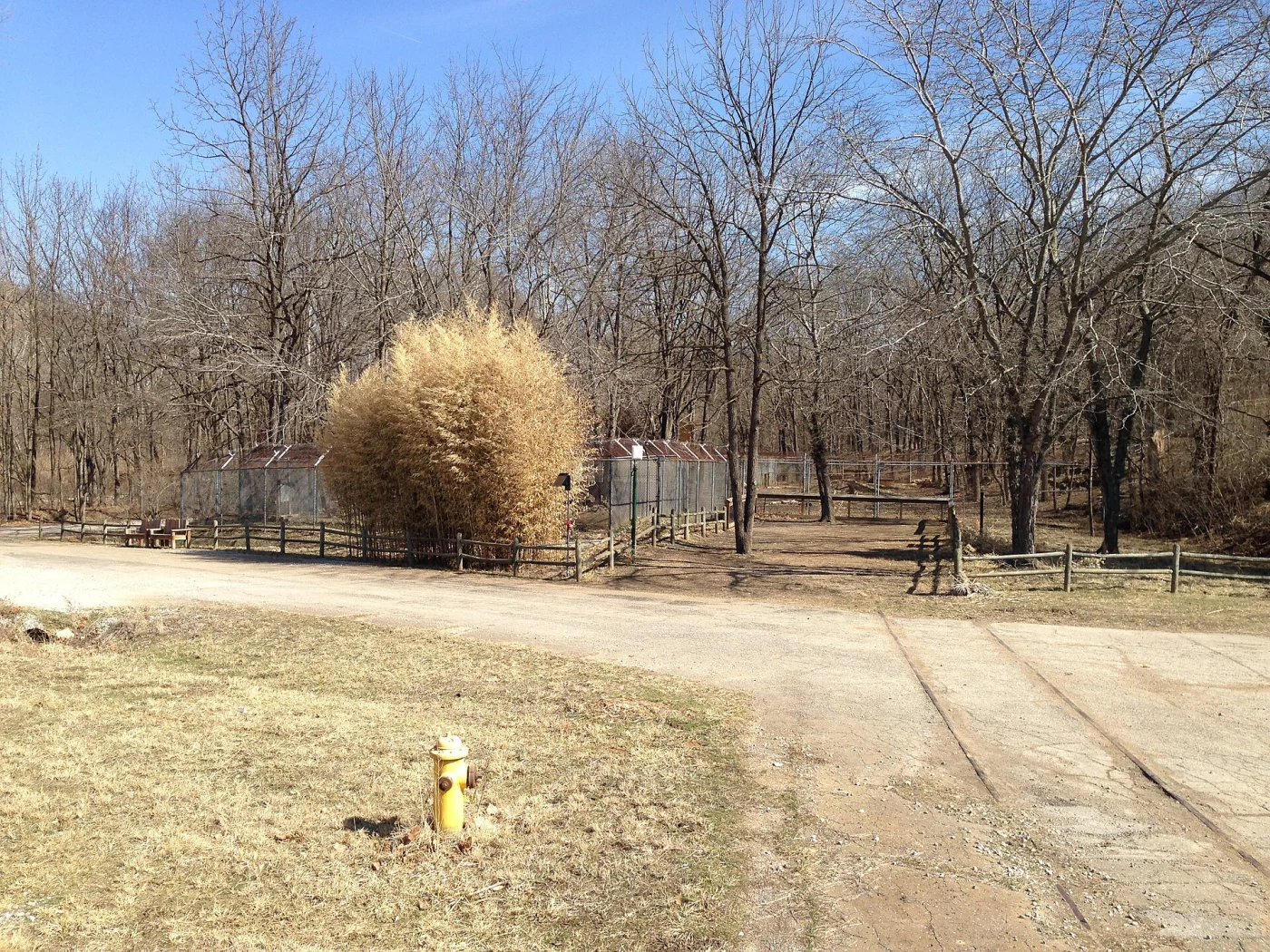 Endangered Wolf Center