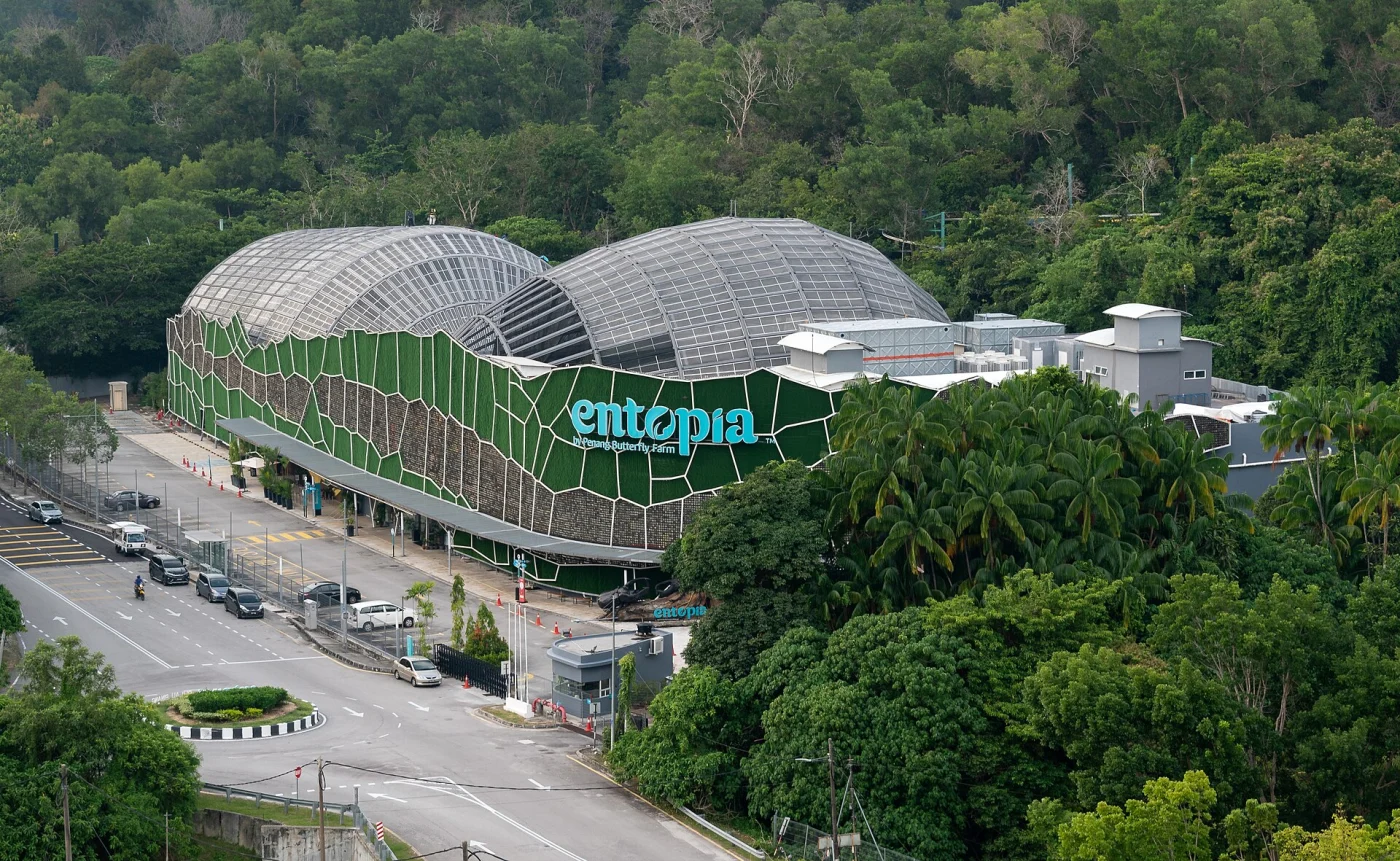 Entopia