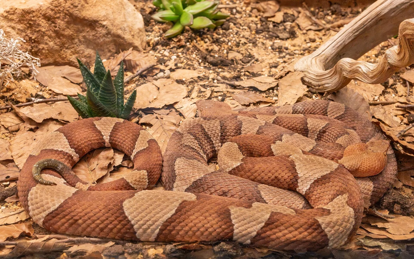 Exotarium Oberhof