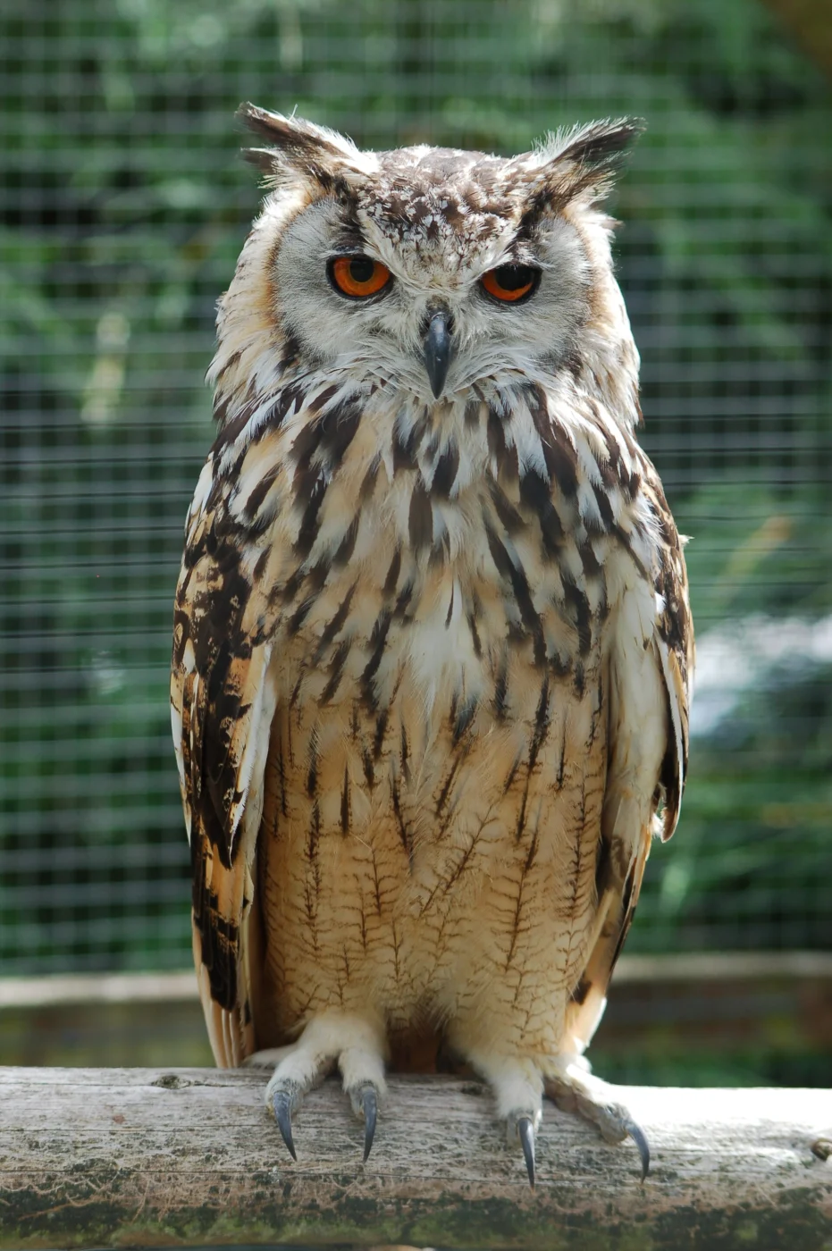 Galloway Wildlife Conservation Park