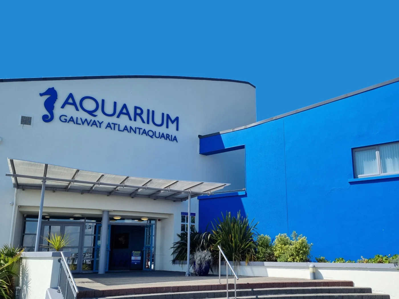 Galway Atlantaquaria