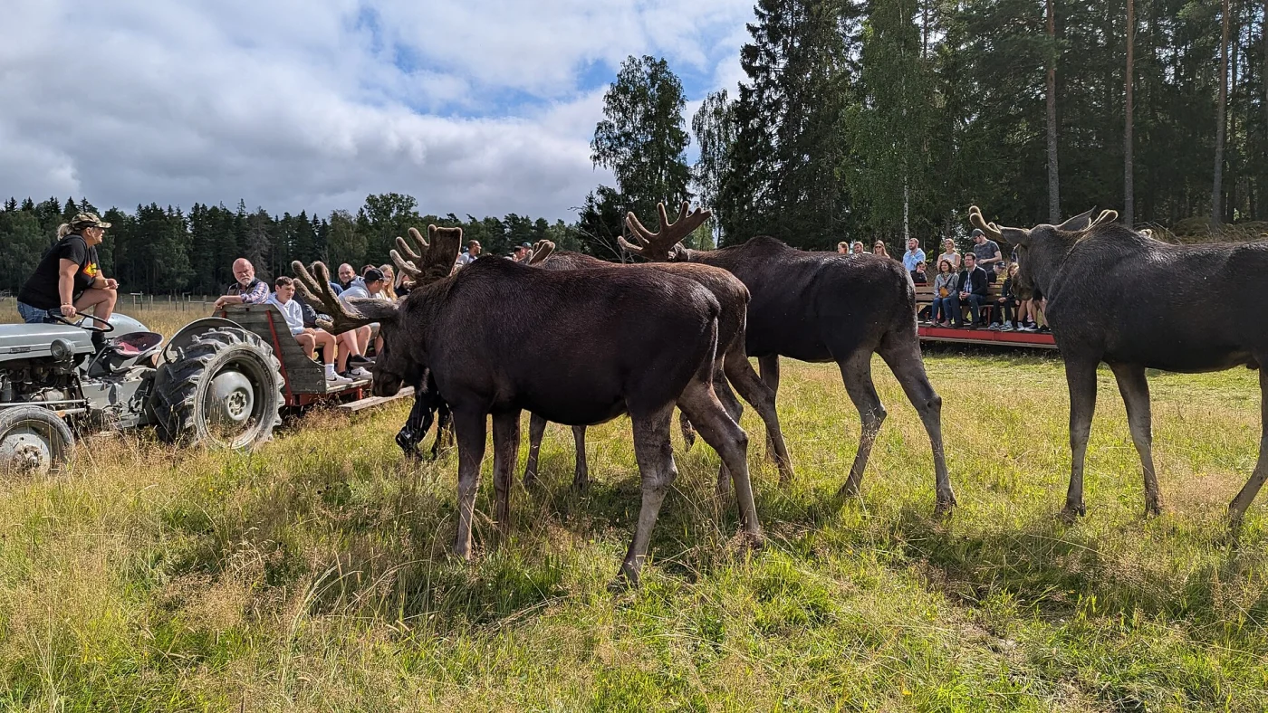 Gårdsjö älgpark