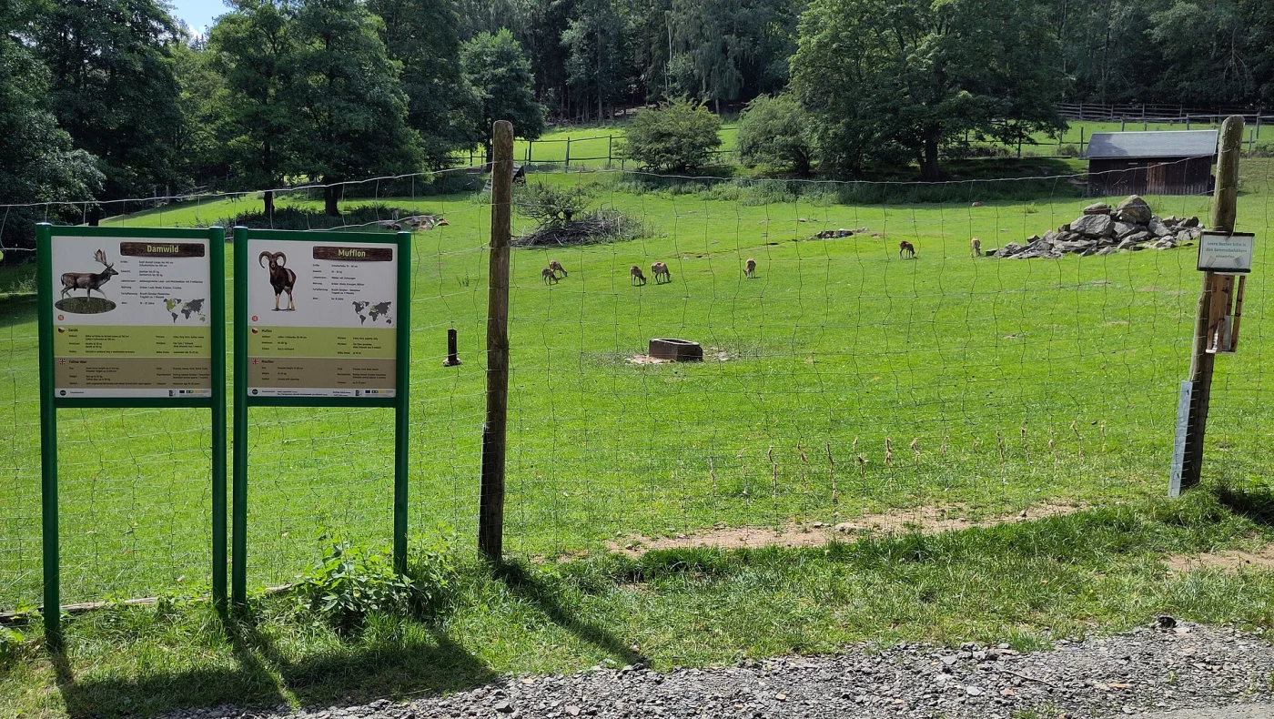 Geising Wildlife Park