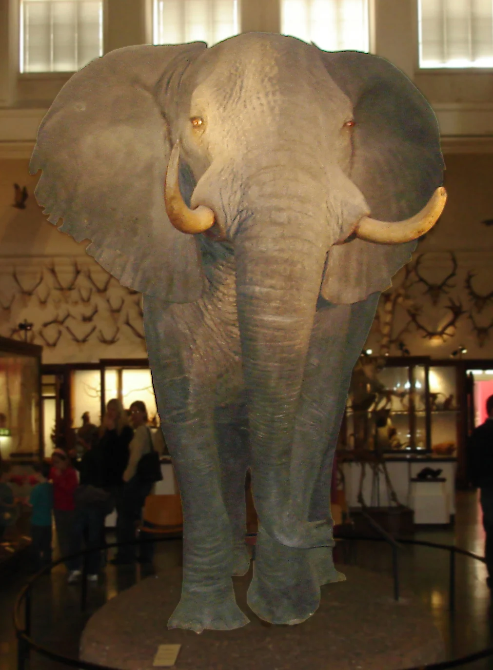 Gothenburg Natural History Museum