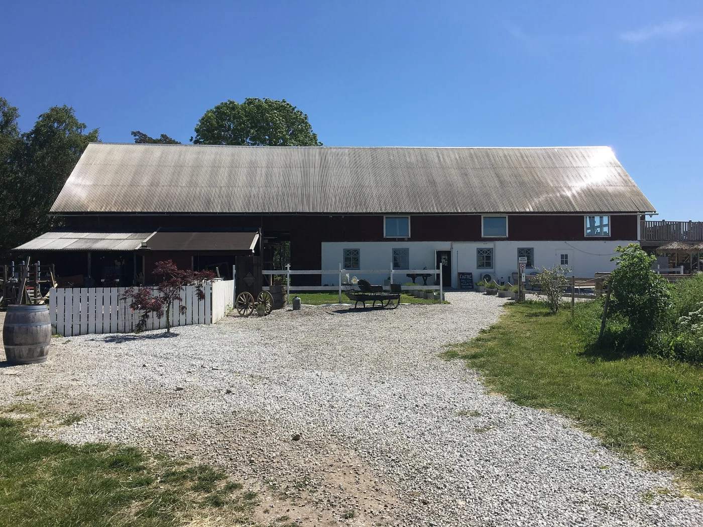 Gotland animal park