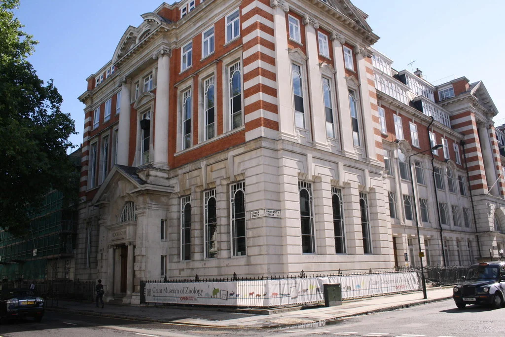 Grant Museum of Zoology