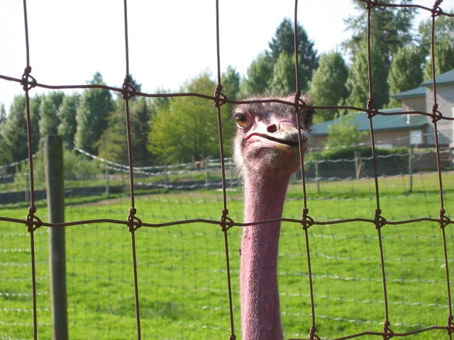 Greater Vancouver Zoo