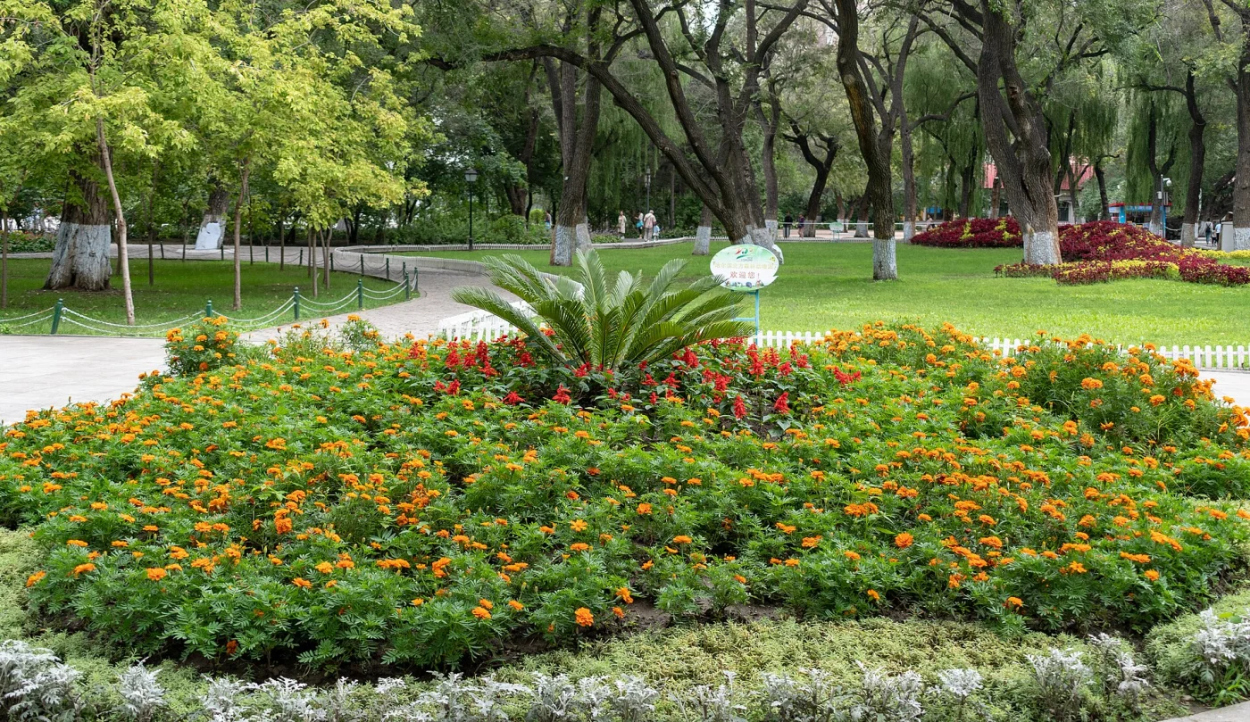 Harbin Zoo