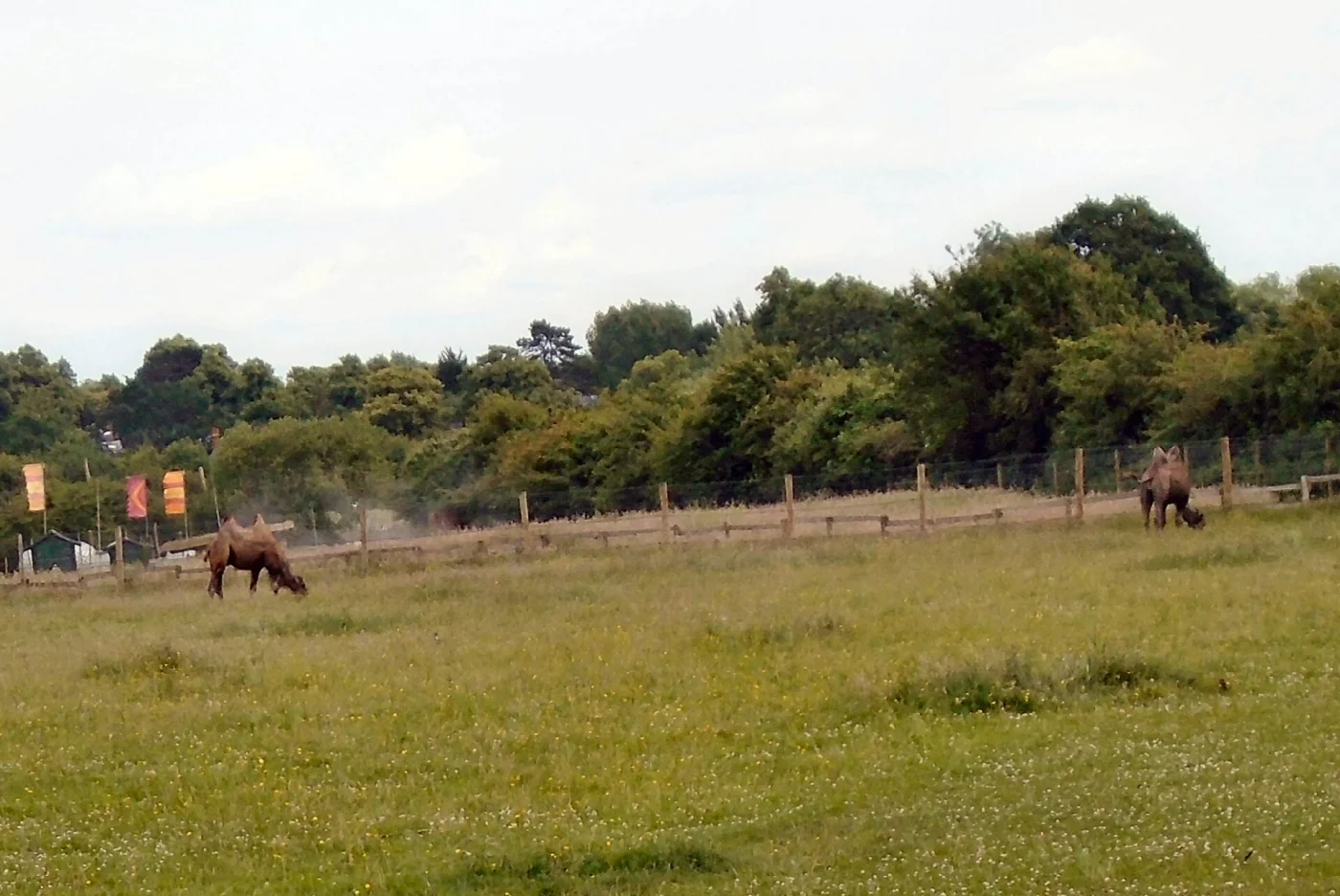 Hobbledown