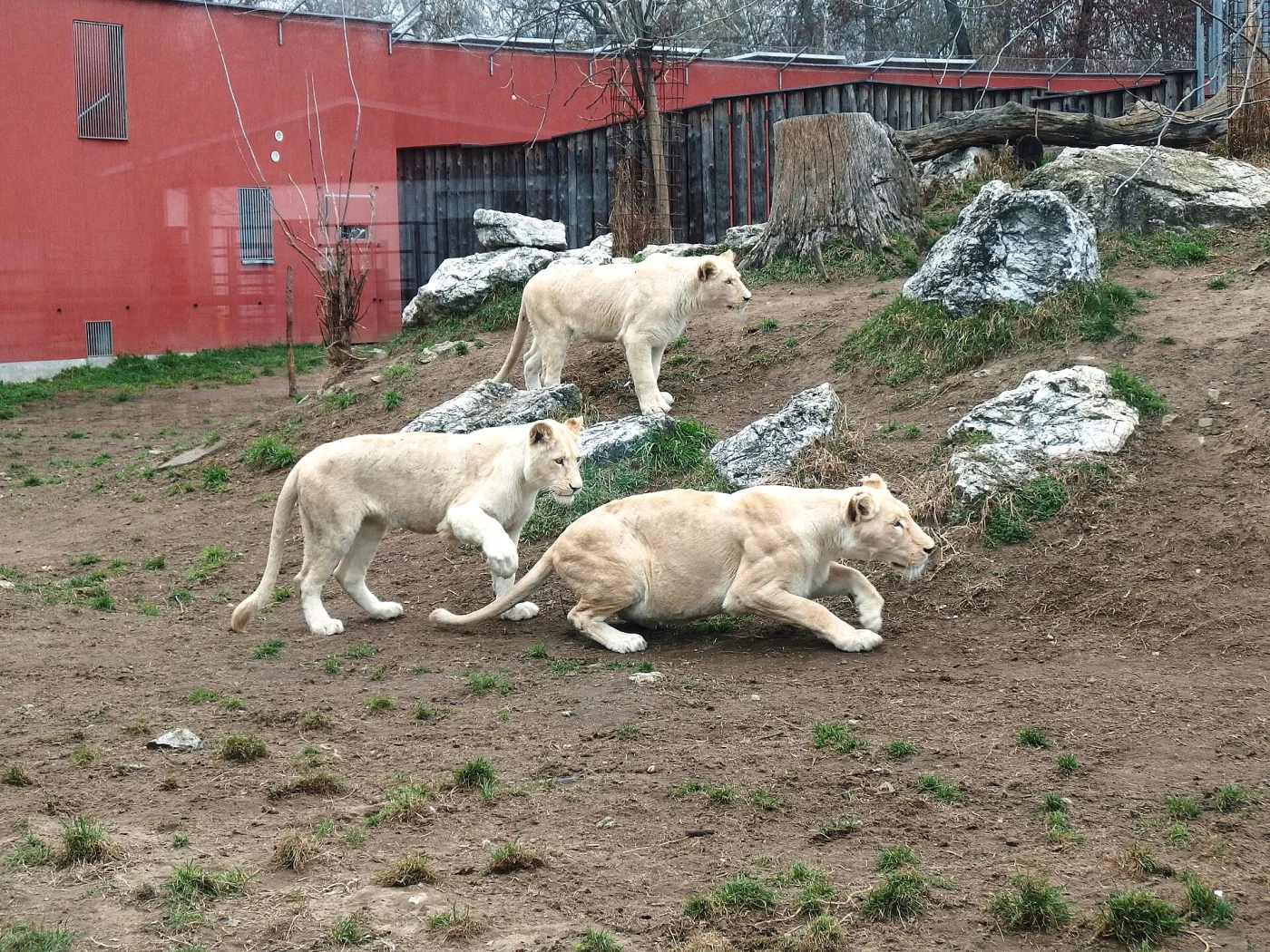 Hodonín Zoo
