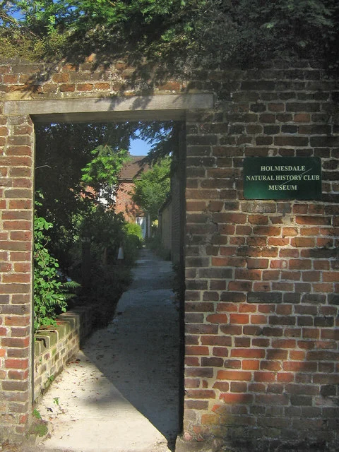 Holmesdale Natural History Club