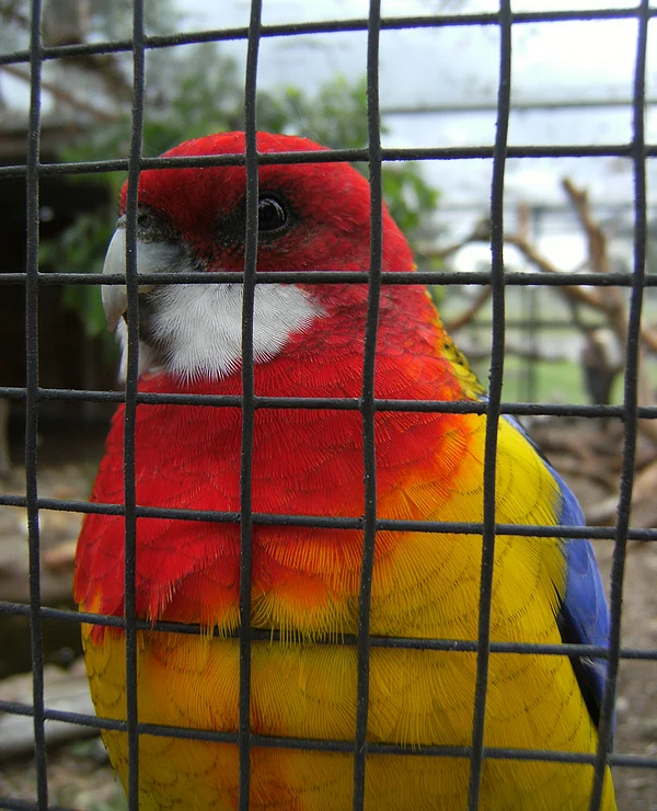 Hunter Valley Wildlife Park