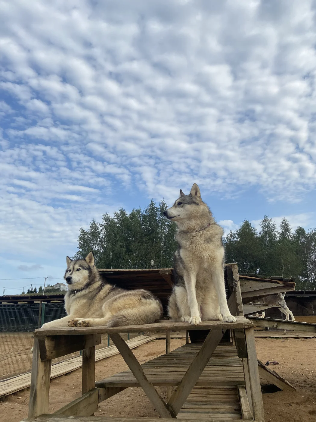 Husky Village