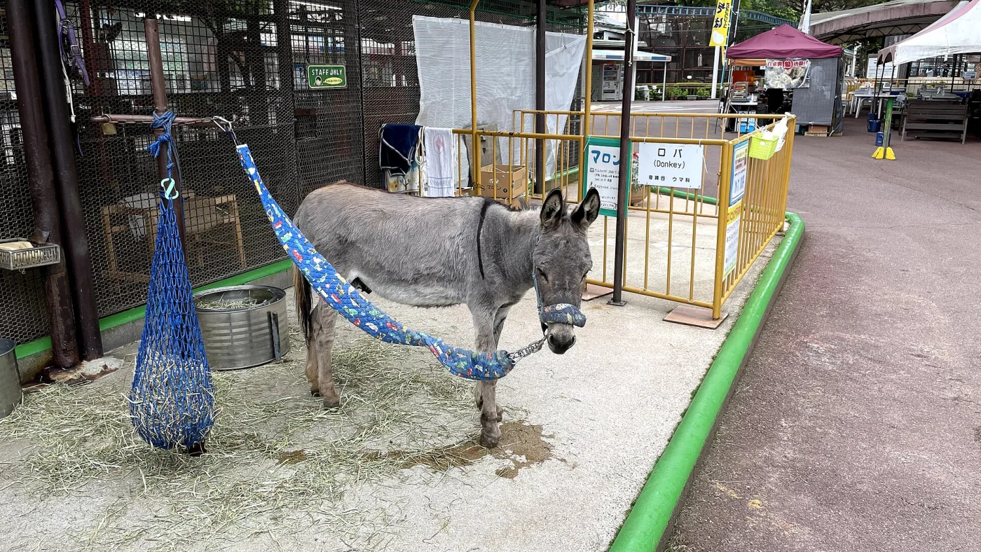 Ikeda Zoo