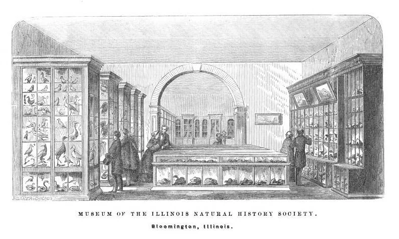 Illinois Museum of Natural History