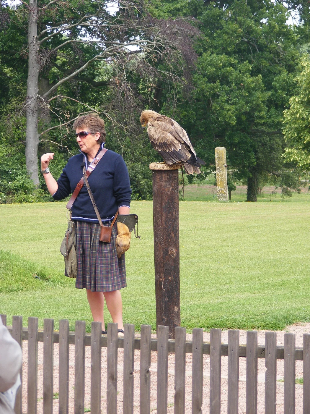 International Centre for Birds of Prey