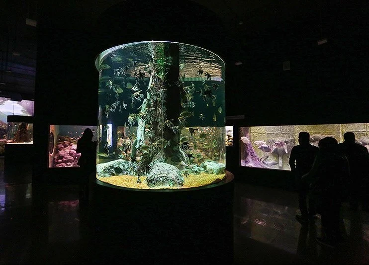 Isfahan Aquarium