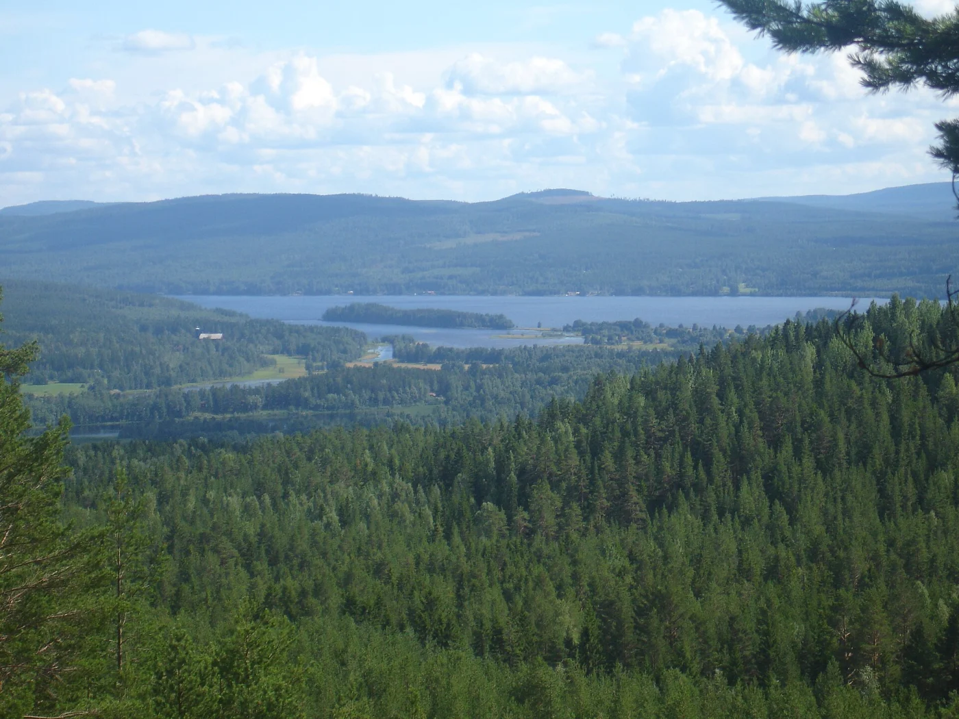 Järvzoo