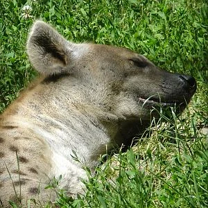Jászberény Zoo