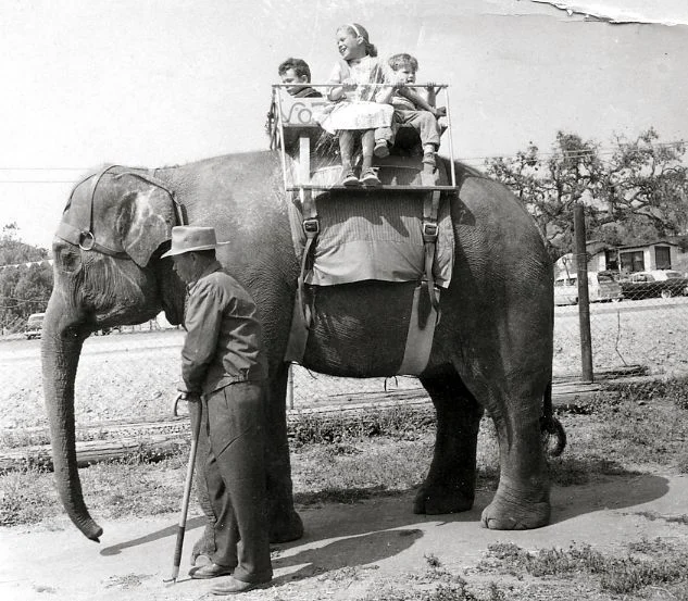 Jungleland USA