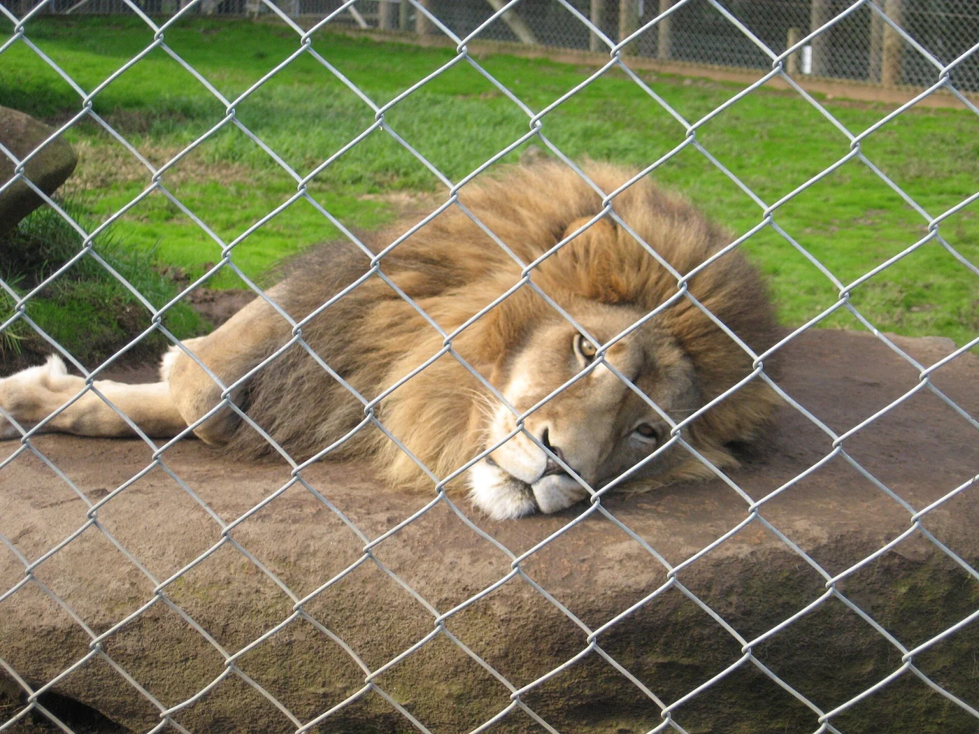 Kamo Wildlife Sanctuary