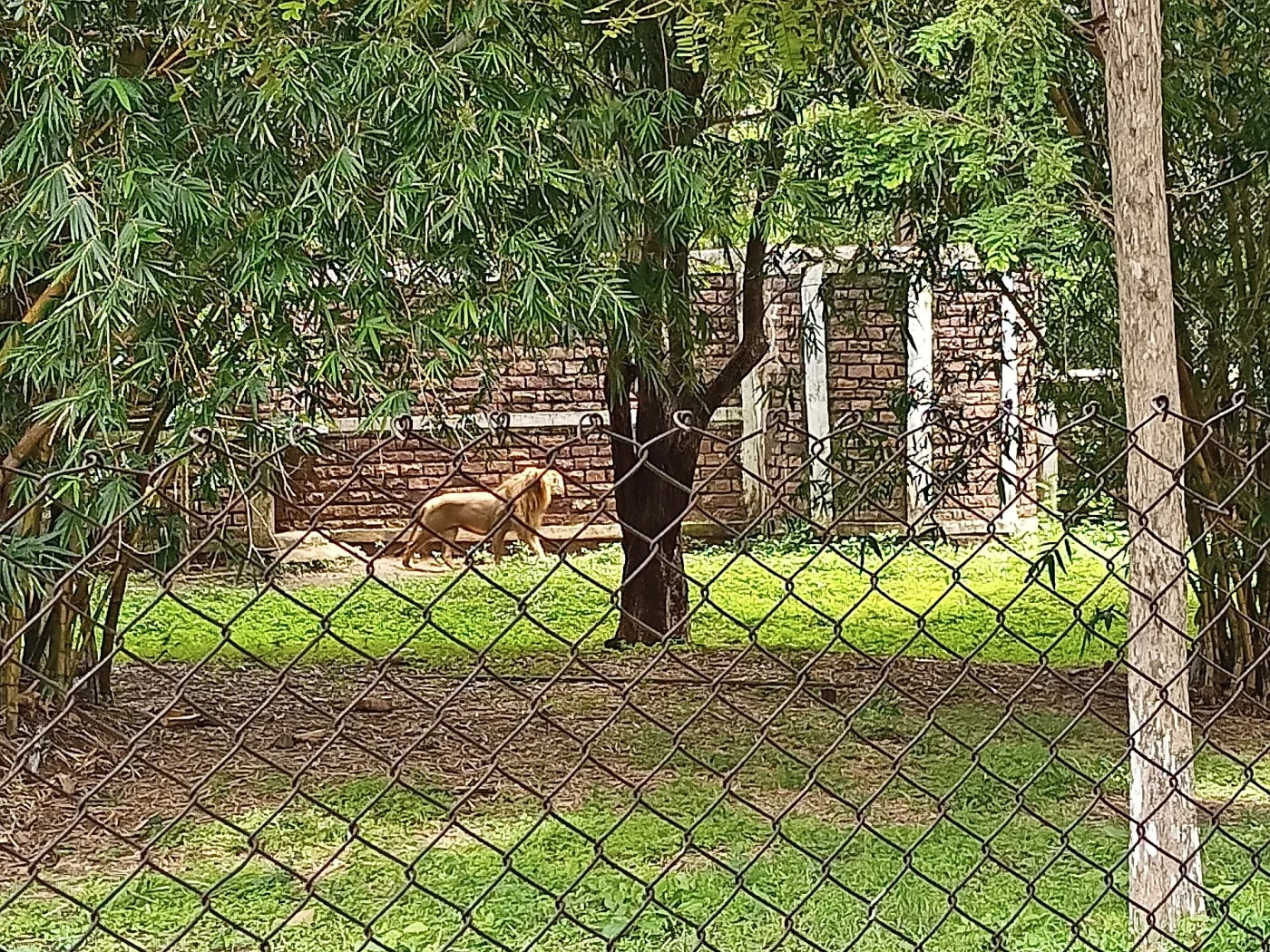 Kanan Pendari Zoo