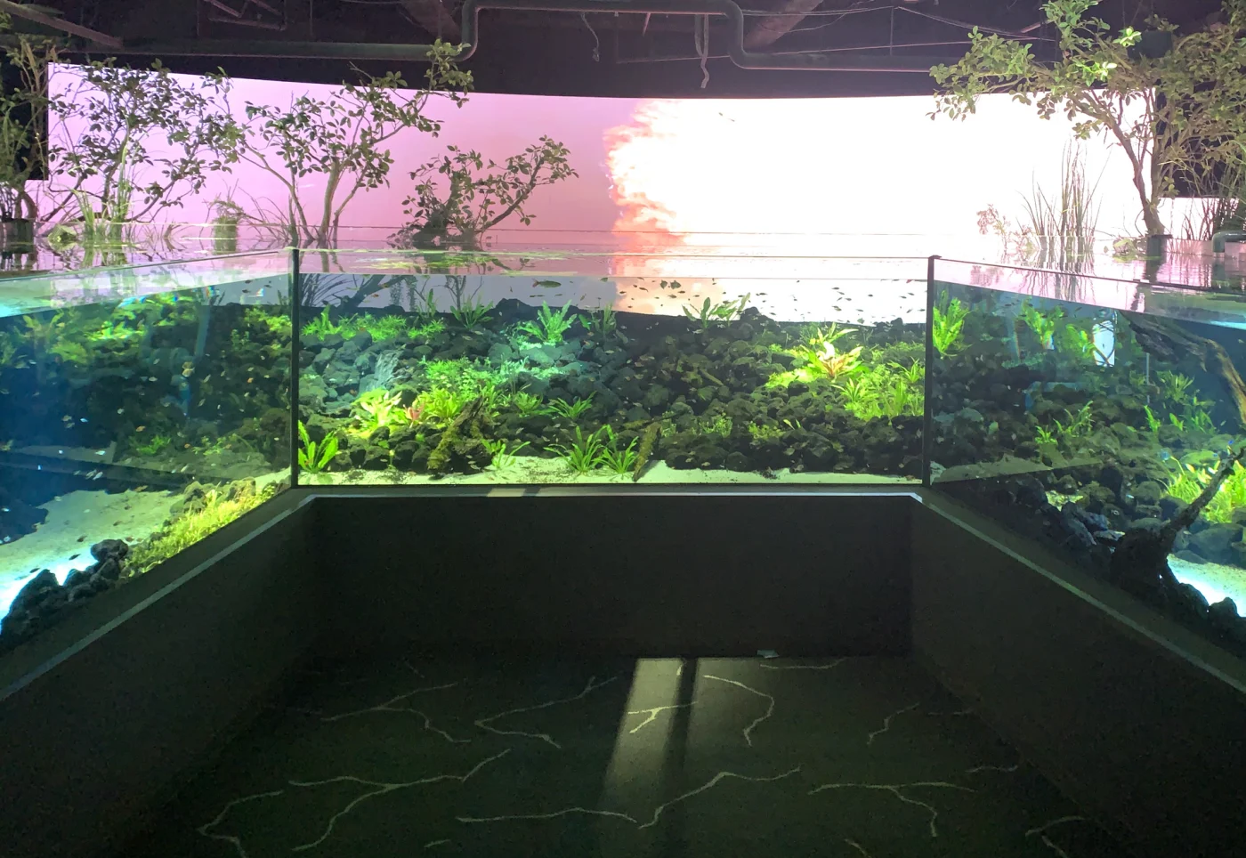Kawasui Kawasaki Aquarium
