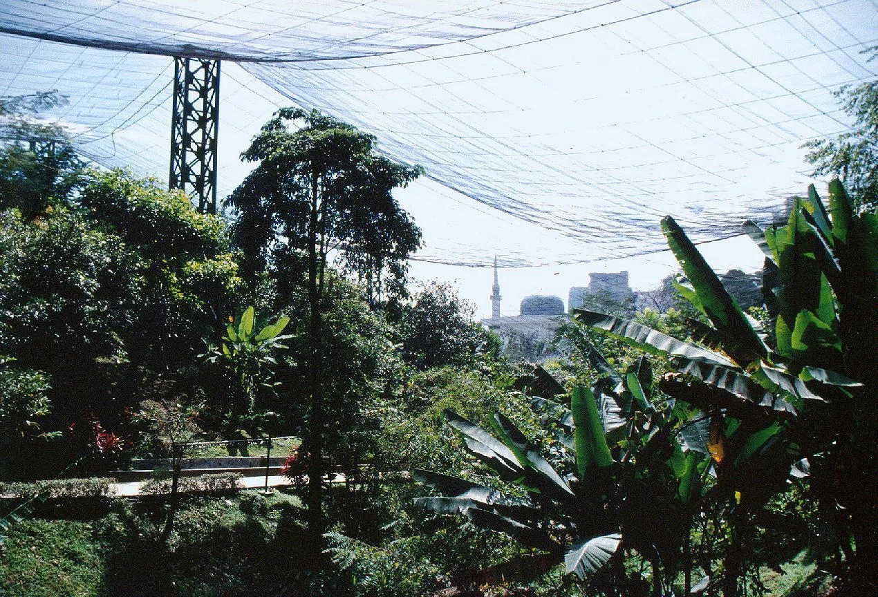 Kuala Lumpur Bird Park