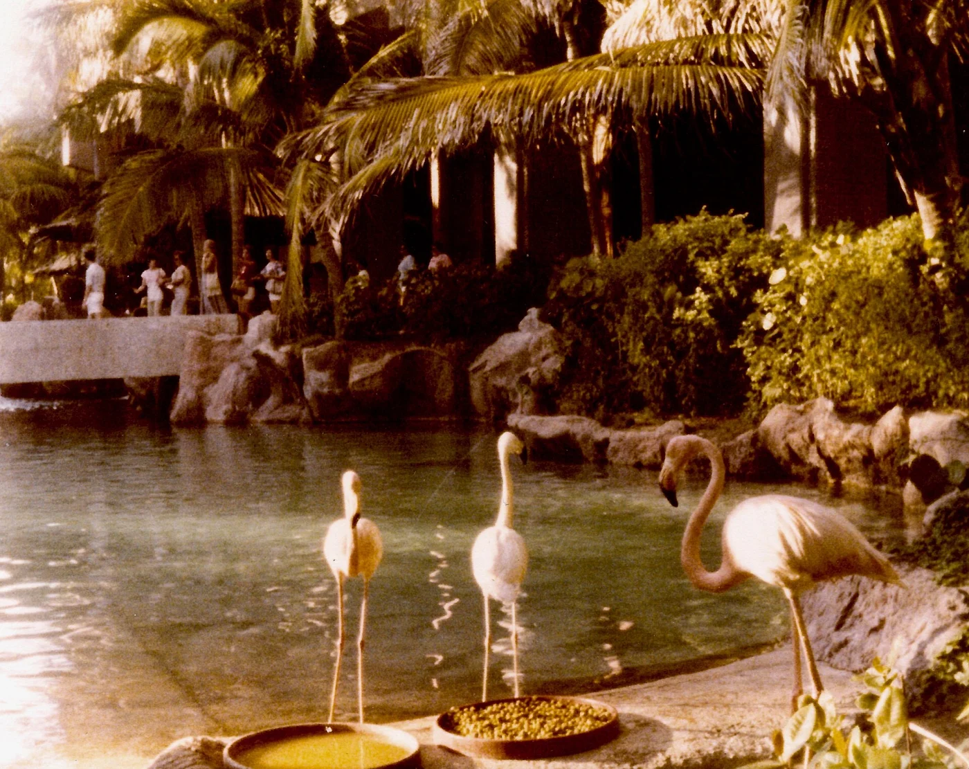 La Aurora Zoo