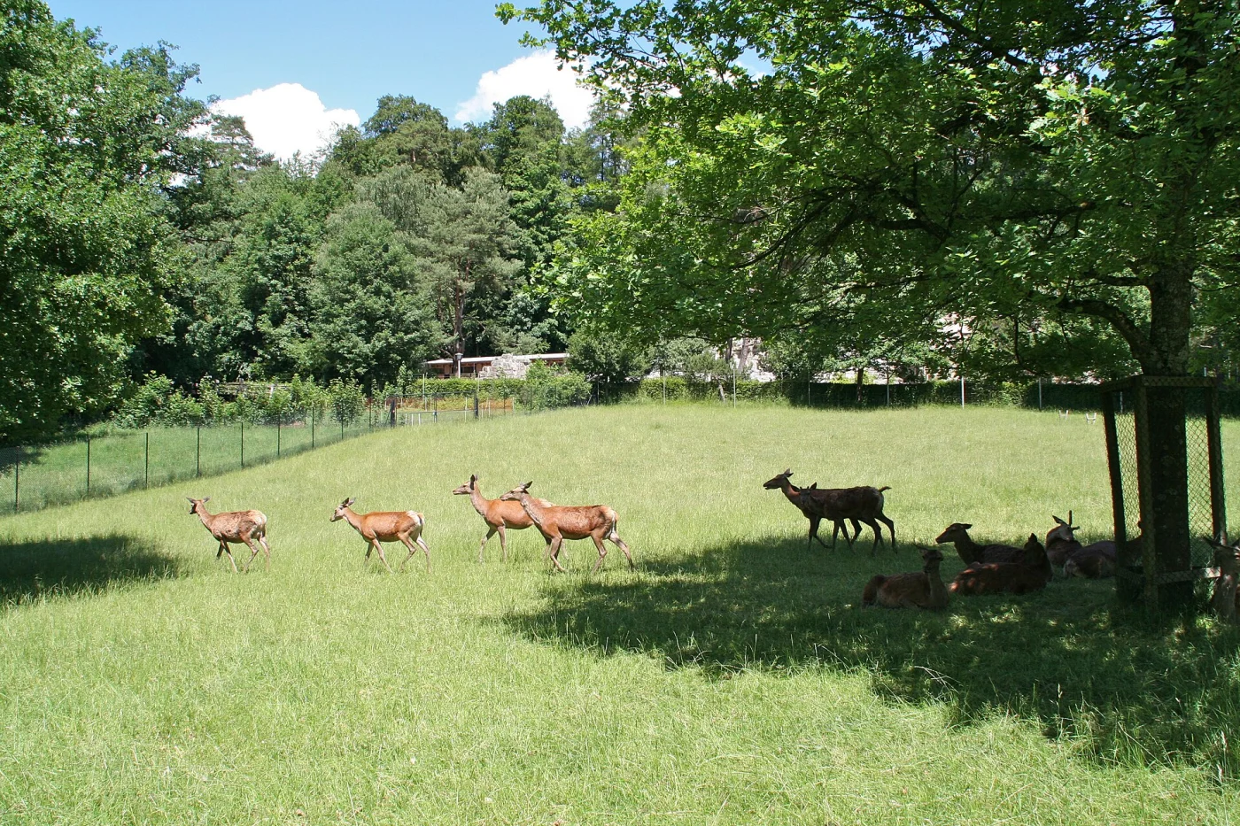 Langenberg Wildlife Park