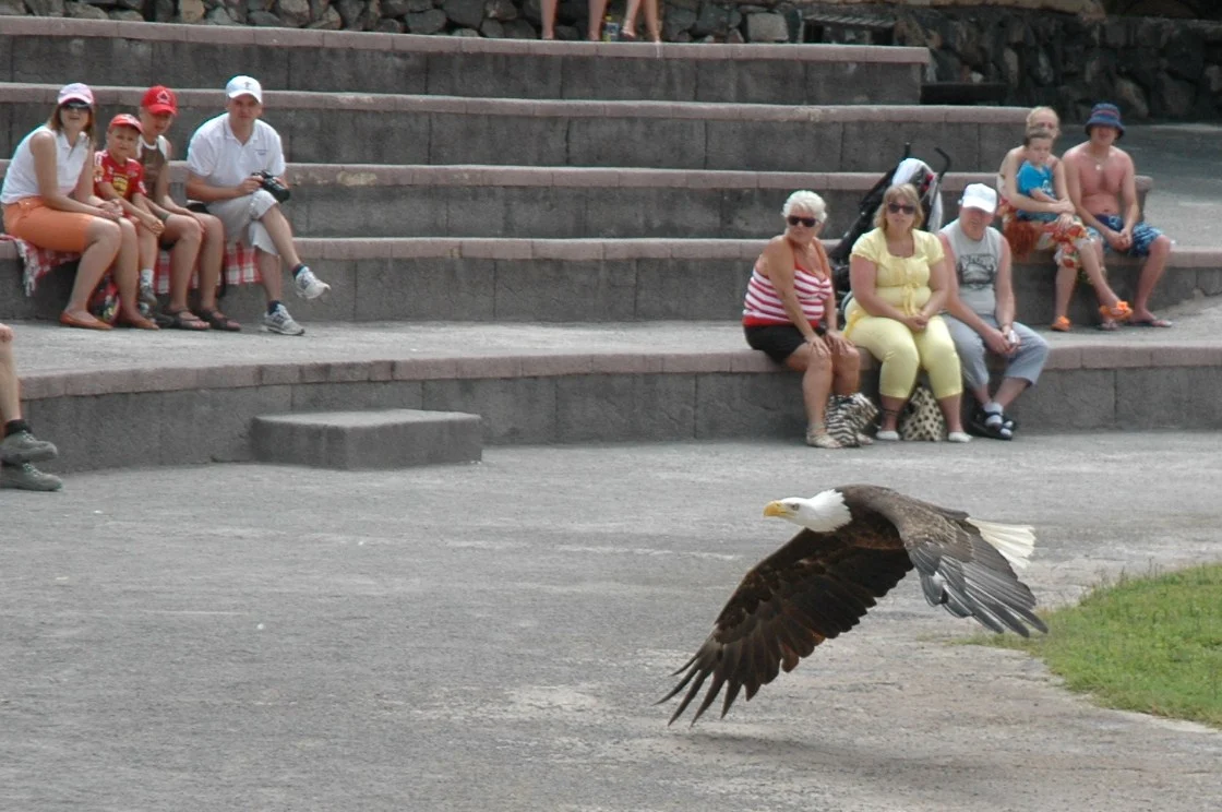 Las Águilas Jungle Park