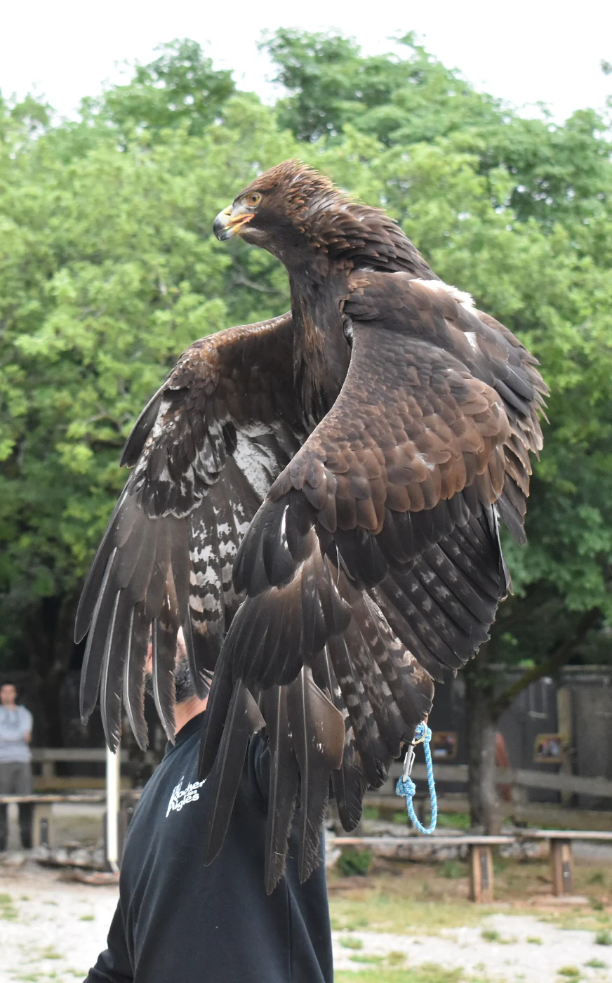 Le rocher des aigles