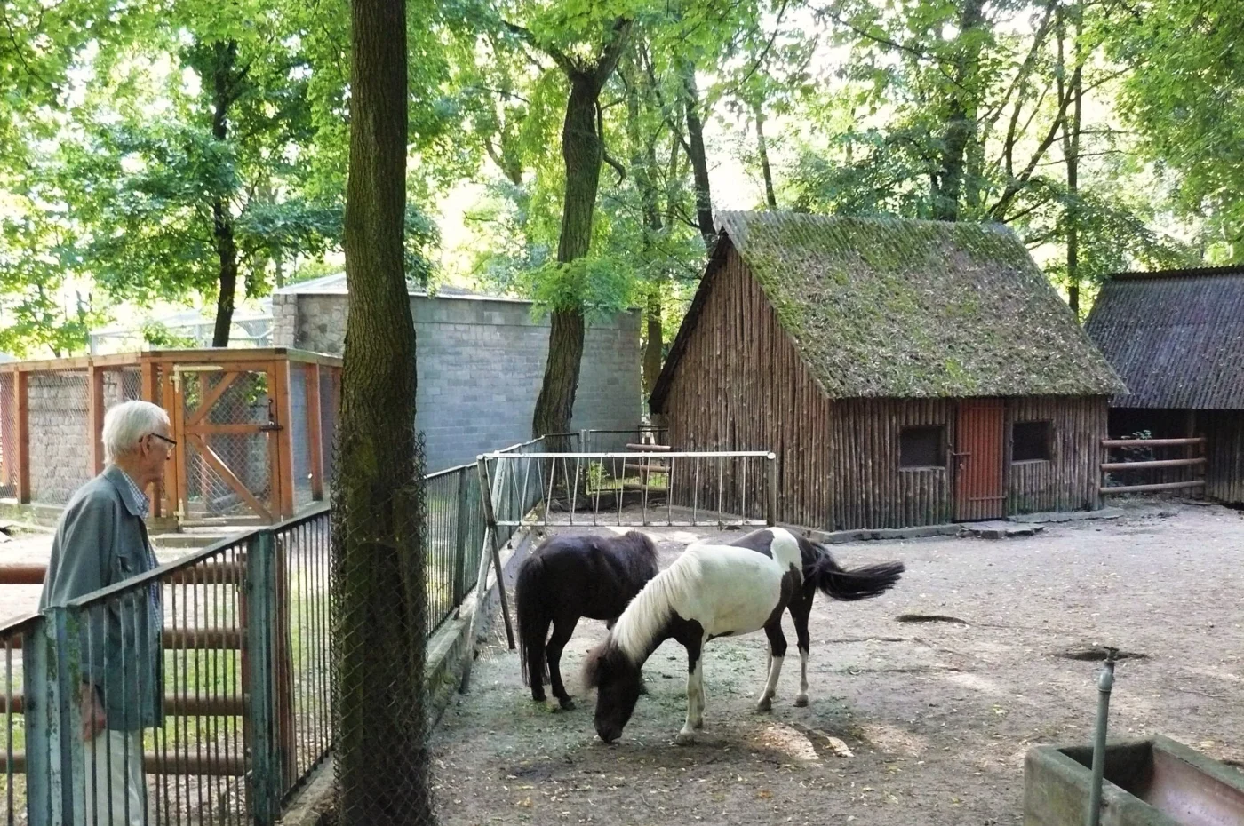 Leszno Zoo