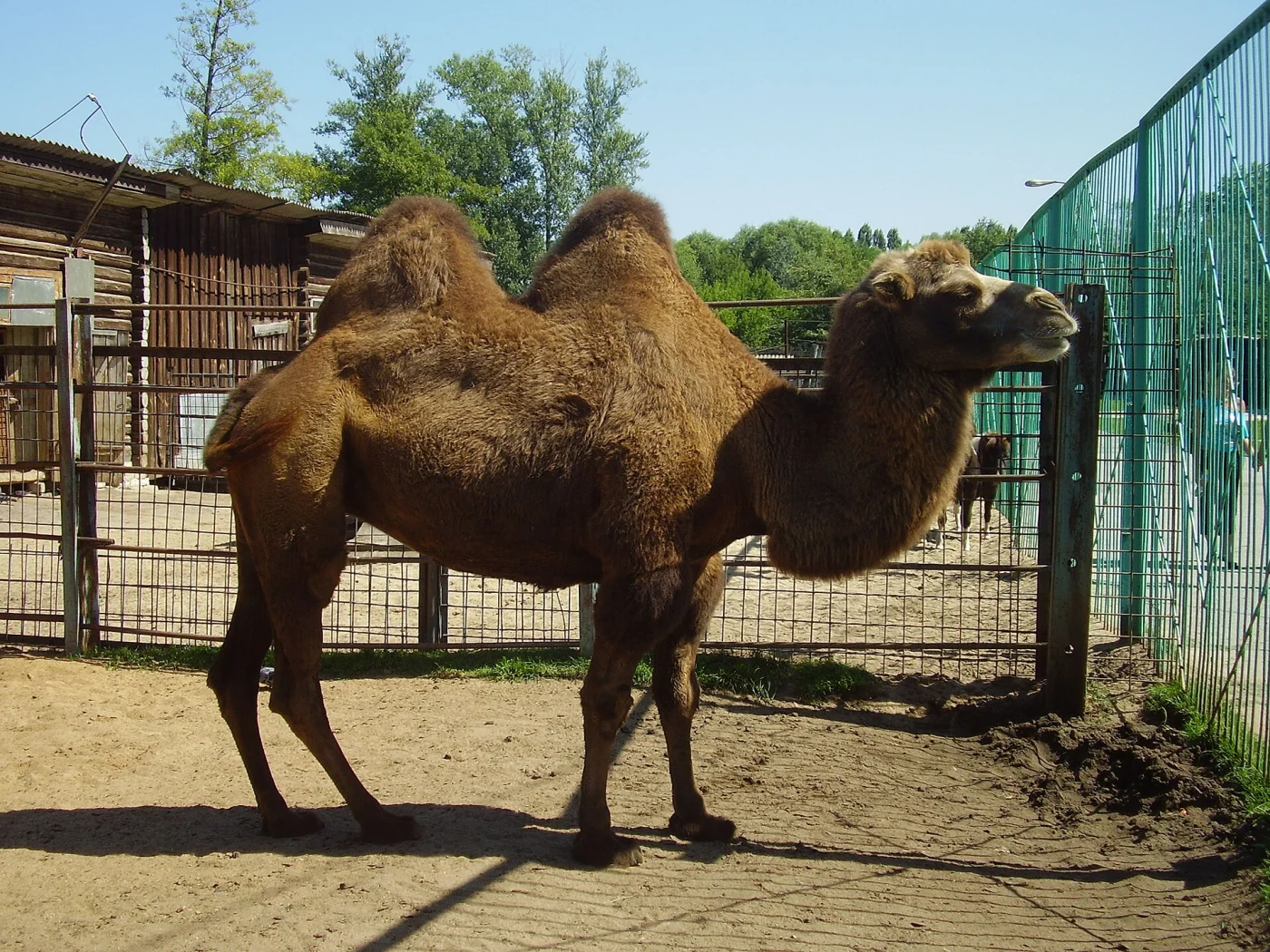 Lipetsk Zoo