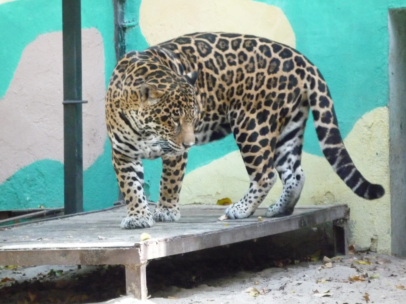Lovech Zoo