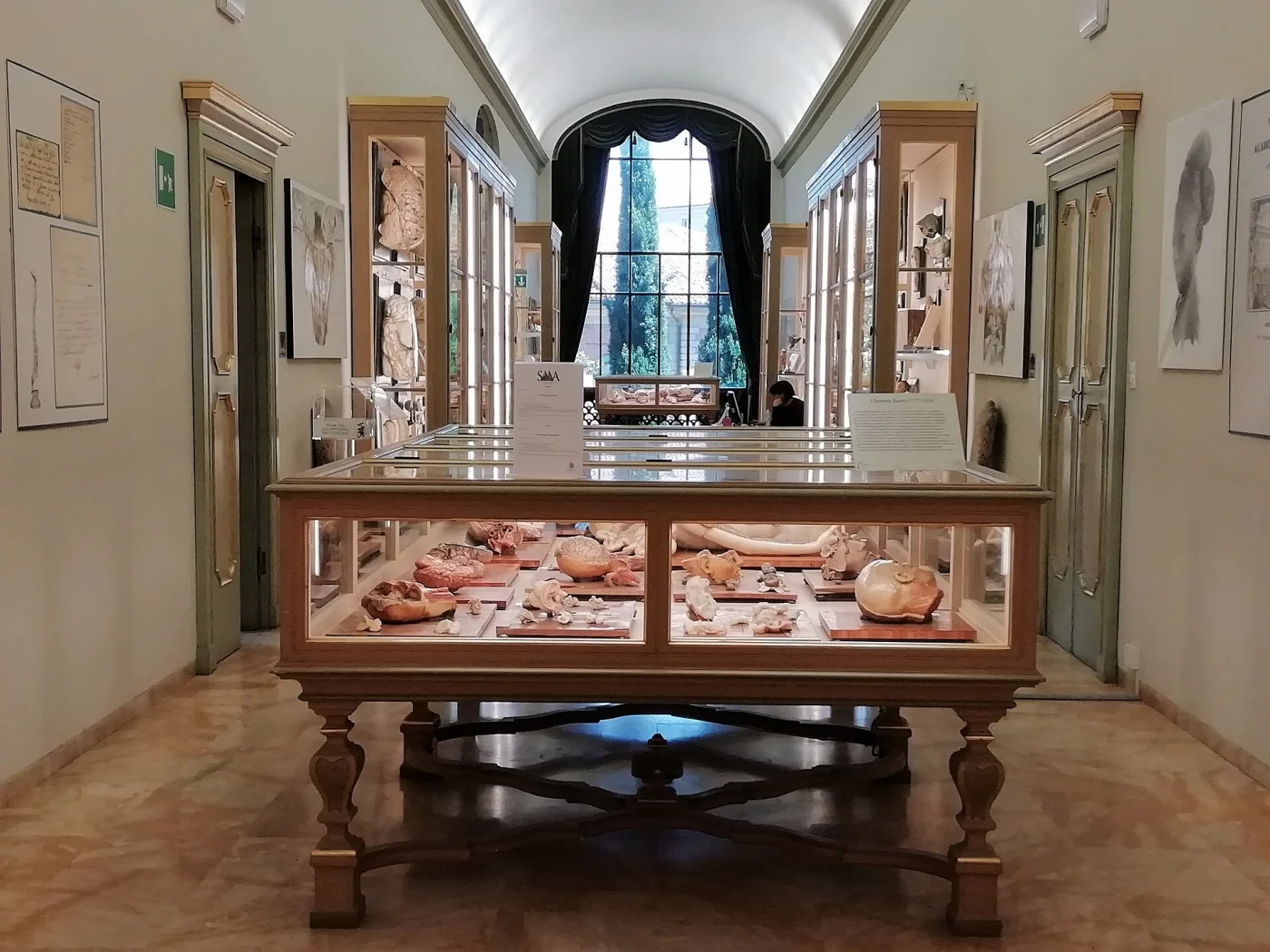 Luigi Cattaneo Anatomical Wax Museum