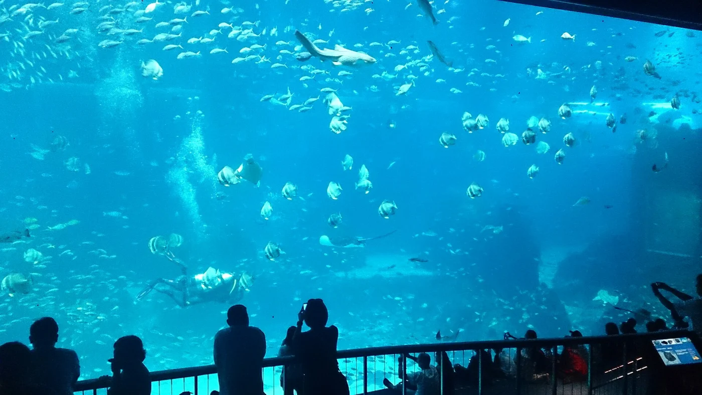 Marine Life Park