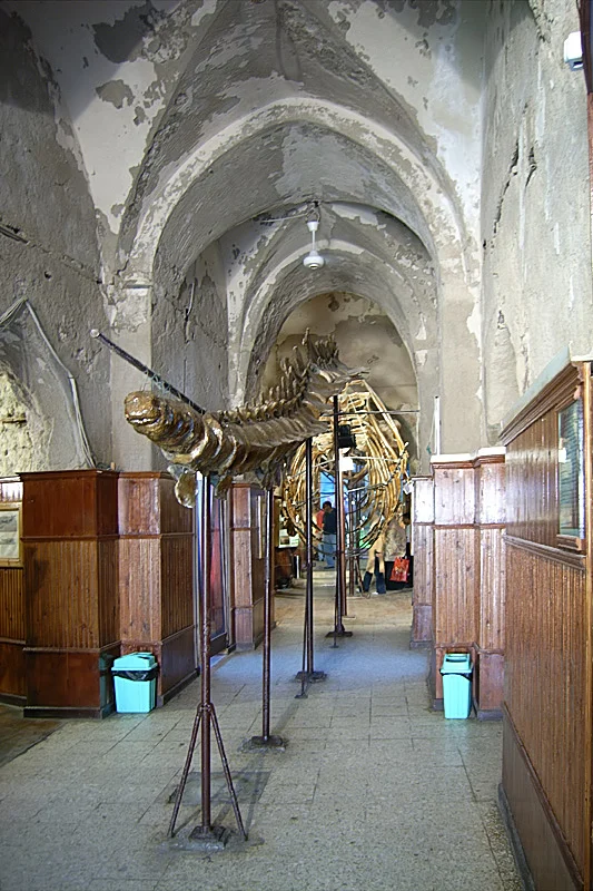 Marine Museum Alexandria