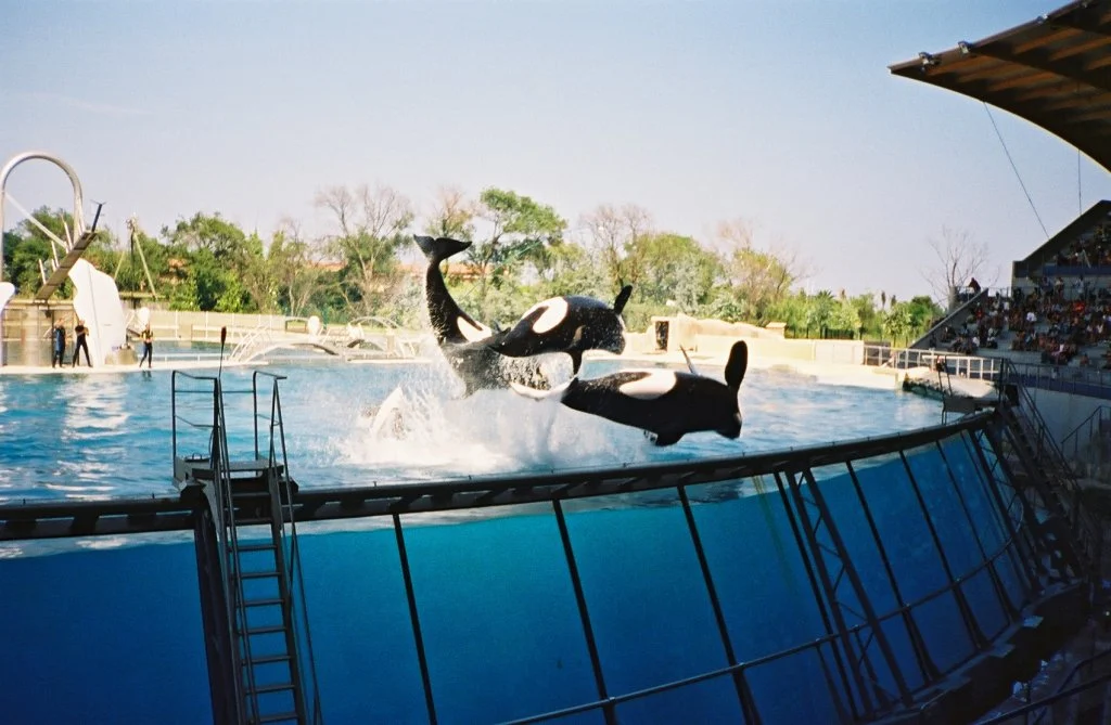 Marineland