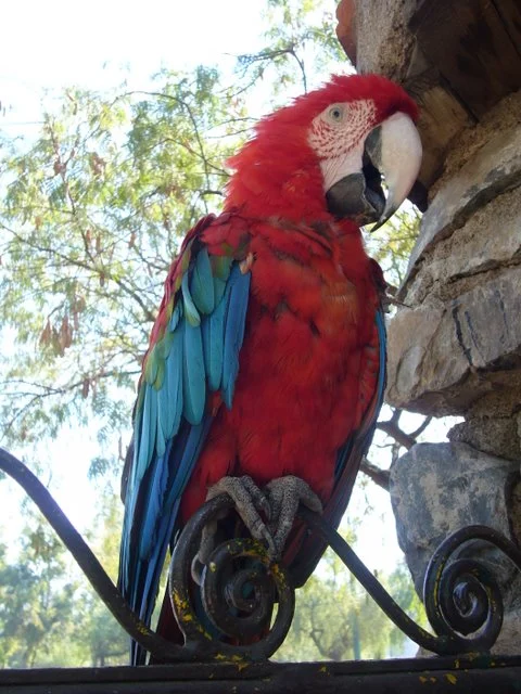 Mendoza Zoological Park