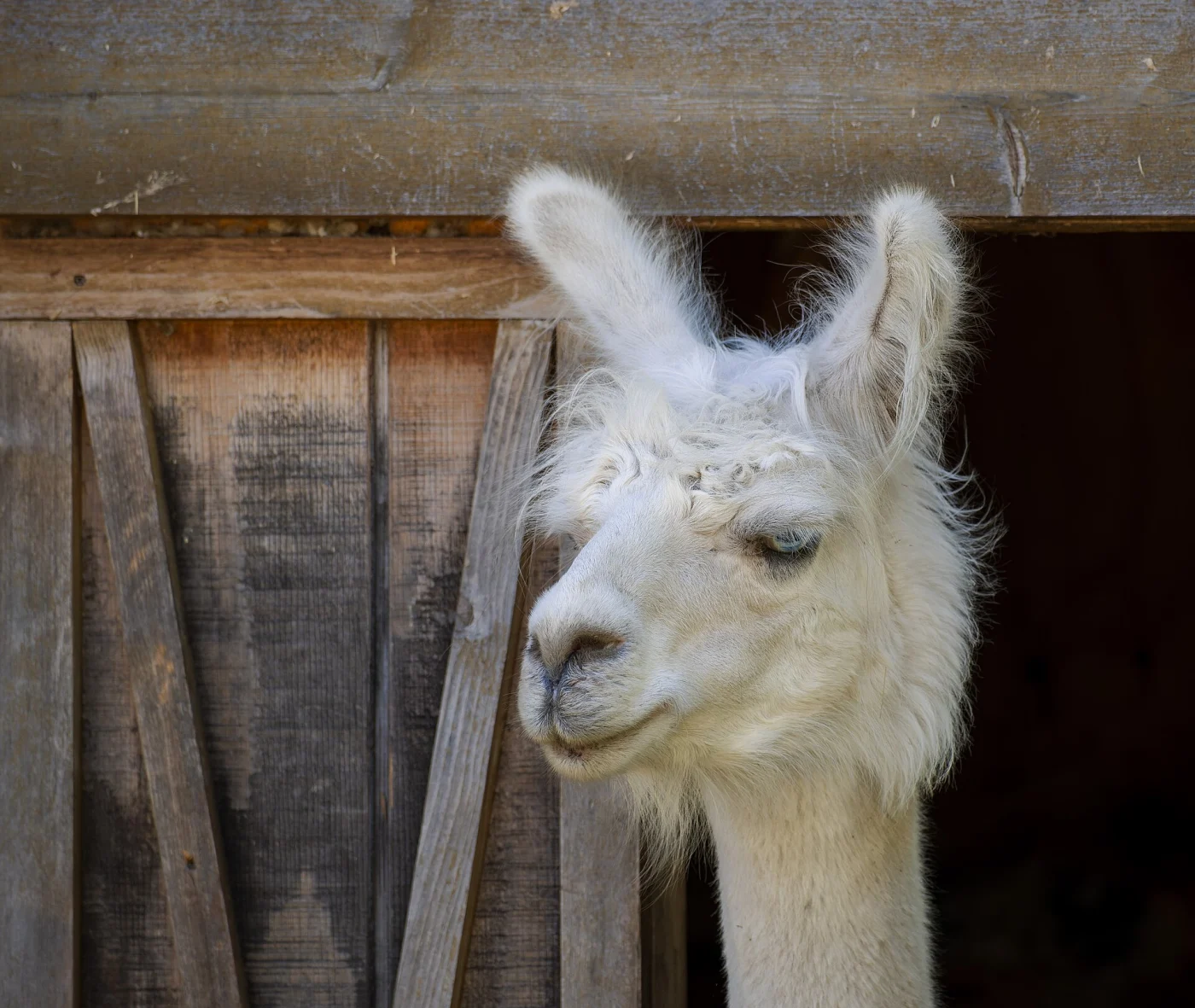 Menominee Park Zoo