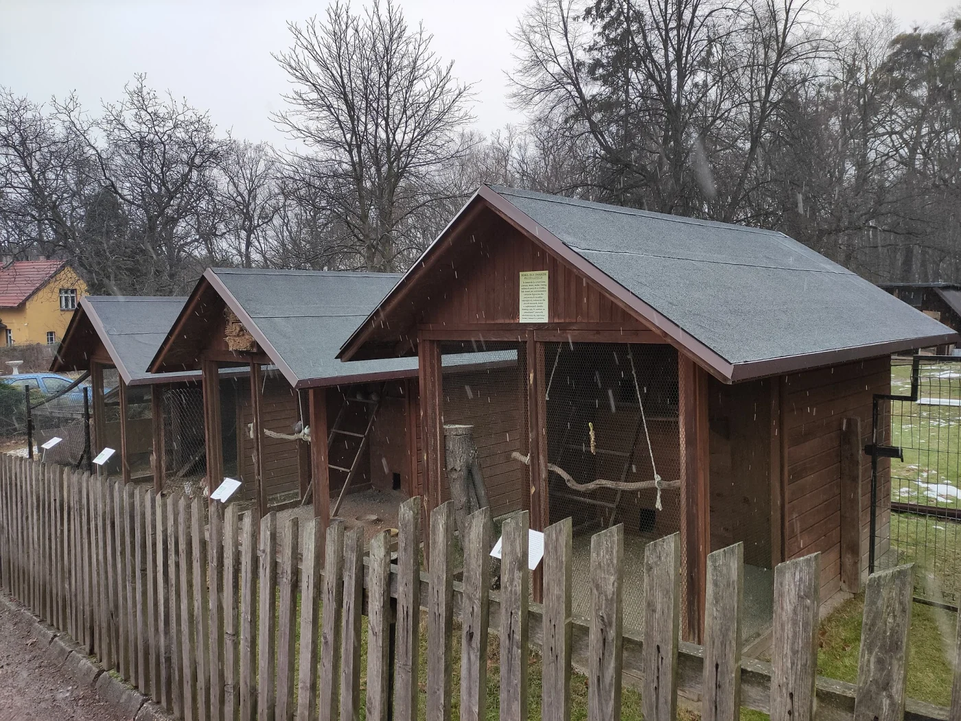 Mini-Zoo