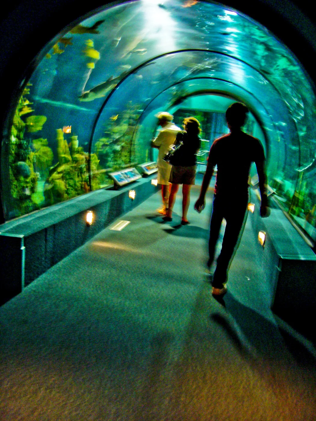 Moody Gardens